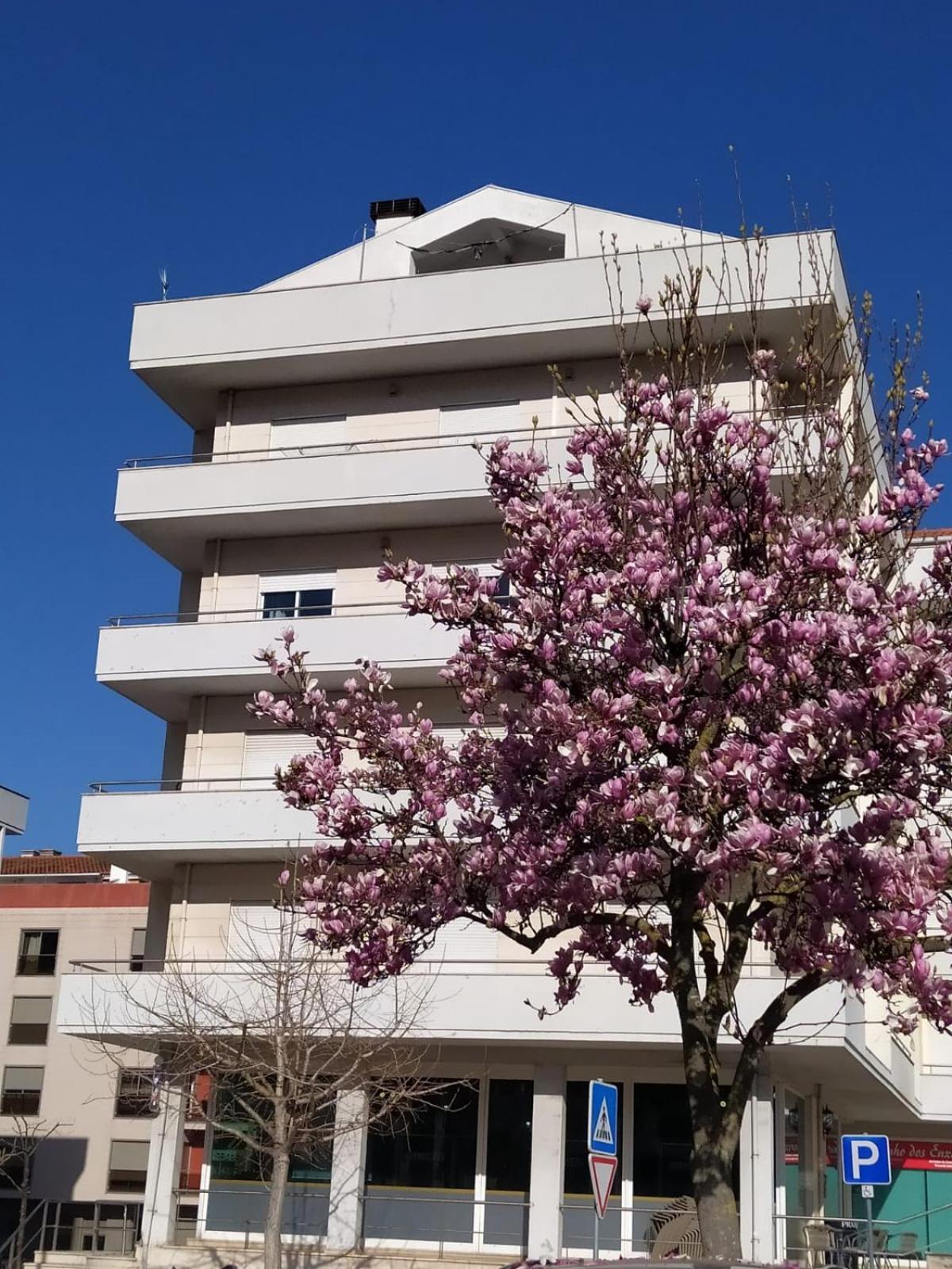 Lousa Varandas House Εξωτερικό φωτογραφία